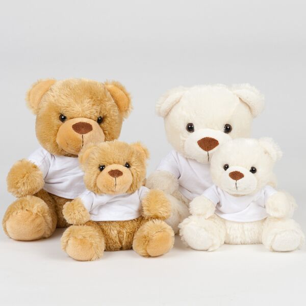 Schools Bear in T-Shirt Thumbnail