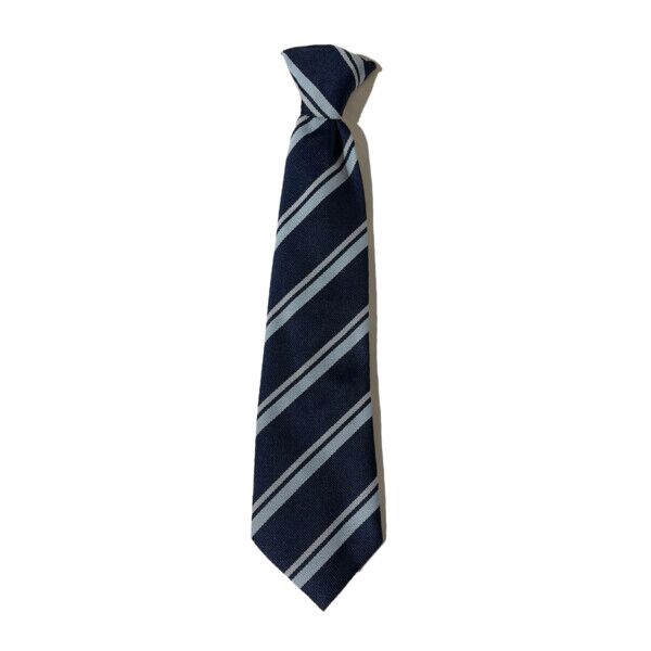 Berryhill Primary Standard Tie Thumbnail
