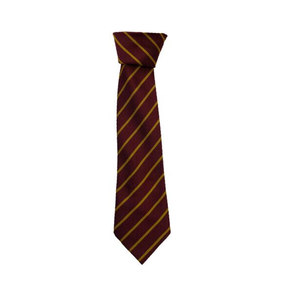 Cambusnethan Primary Standard Tie (Narrow Stripe Full Length 39") Thumbnail