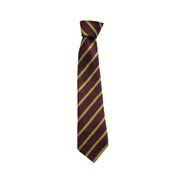 Christ the King Primary Standard Tie Thumbnail